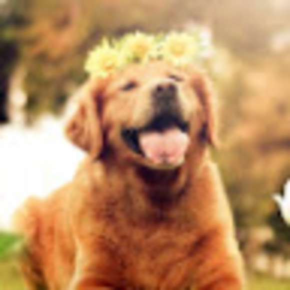 Meet your Posher, Rachel - Picture 1 of 1